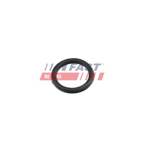 Dichtung Ansaugkr&uuml;mmer Fast FT49420 f&uuml;r Citro&euml;n Fiat Ford Volvo VW Eingang