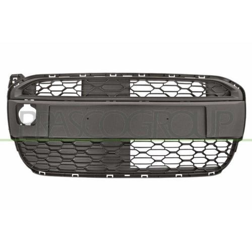 L&uuml;ftungsgitter Sto&szlig;f&auml;nger Prasco CI2042120 Premium f&uuml;r Citro&euml;n Vorne