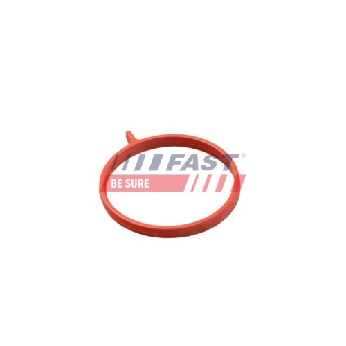Dichtring Fast FT48959 f&uuml;r Fiat