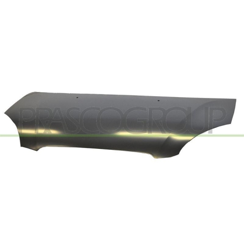 Motorhaube Prasco KI3223100 f&uuml;r Kia
