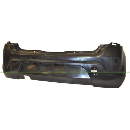 Sto&szlig;f&auml;nger Prasco DA2201051 f&uuml;r Dacia Hinten