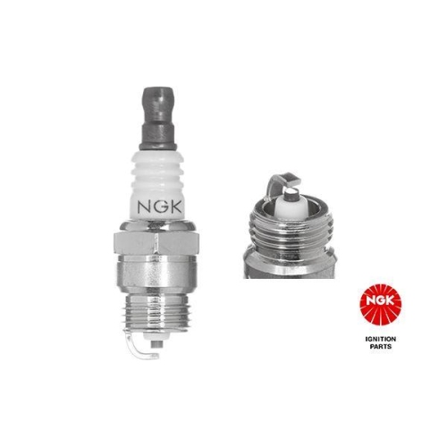 Z&uuml;ndkerze Ngk 5950 f&uuml;r