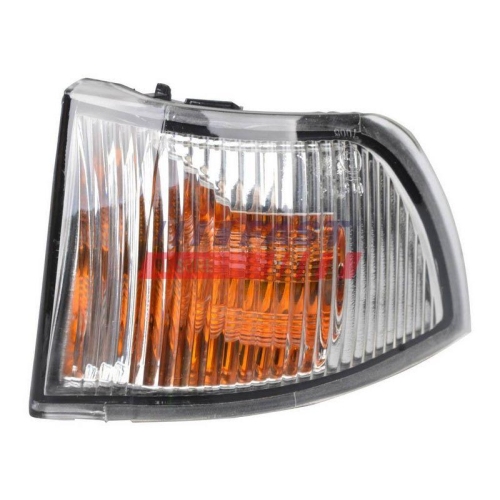 Blinkleuchte Fast FT87326 für Iveco Außenspiegel