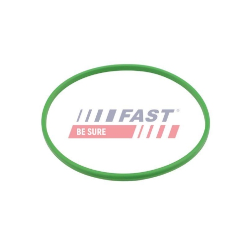 Dichtung Kraftstofftank Fast FT48503 f&uuml;r Citro&euml;n Fiat Ford