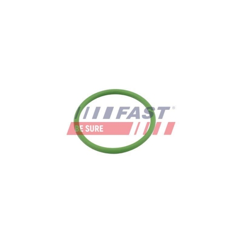 Dichtung Lader Fast FT48803 f&uuml;r VW Turbineneingang