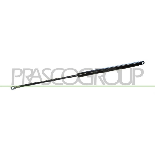 Gasfeder Koffer /laderaum Prasco FT1219055 f&uuml;r Fiat Hinten Links Hinten Rechts