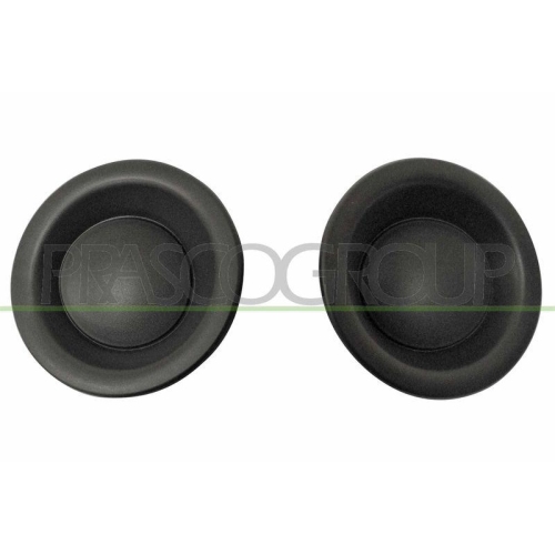 Blende Nebelscheinwerfer Prasco RN3291230 f&uuml;r Renault Beidseitig
