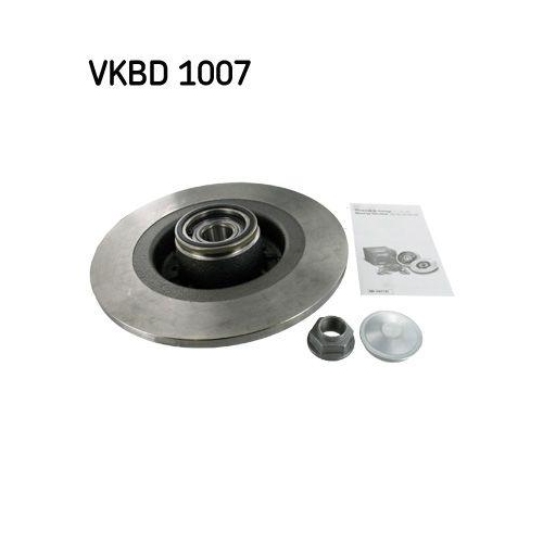 Brake Disc Skf VKBD 1007 for Renault Dacia Peugeot (df Psa) Rear Axle