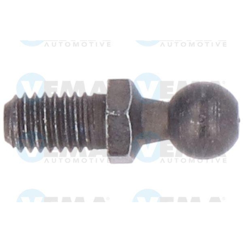 Gasfeder Koffer /laderaum Vema 51036 für