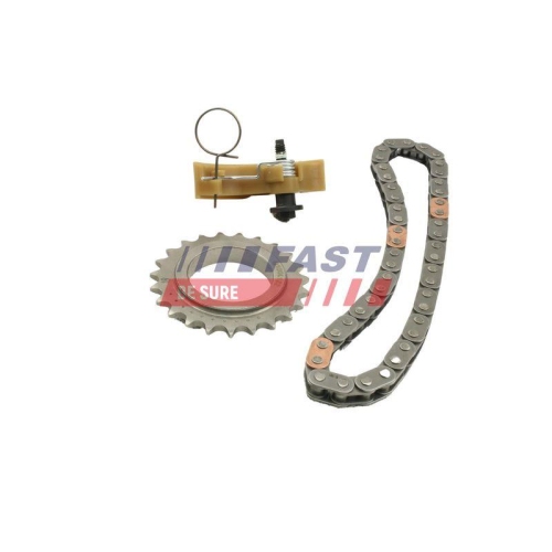 Steuerkettensatz Fast FT41804 f&uuml;r Citro&euml;n Fiat Renault