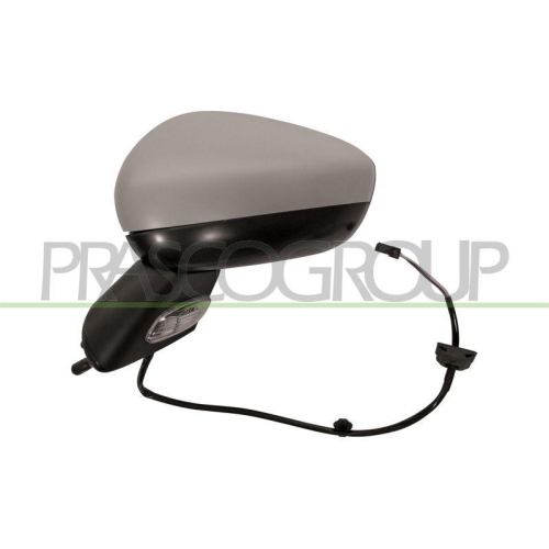 Au&szlig;enspiegel Prasco CI3247314 f&uuml;r Citro&euml;n Links