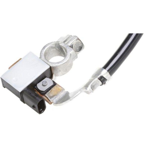 Sensor Batteriemanagement Hella 6PK 010 562-911 für Bmw