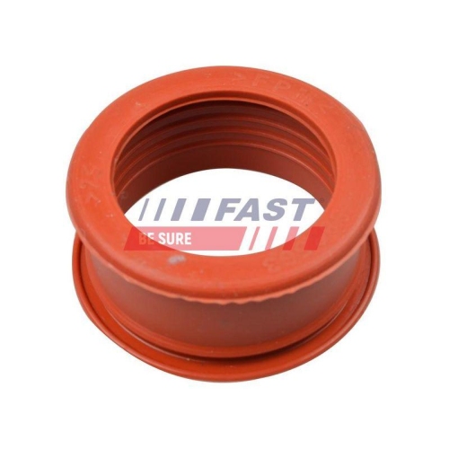 Ladeluftschlauch Fast FT61773 f&uuml;r Citro&euml;n Fiat Eingang