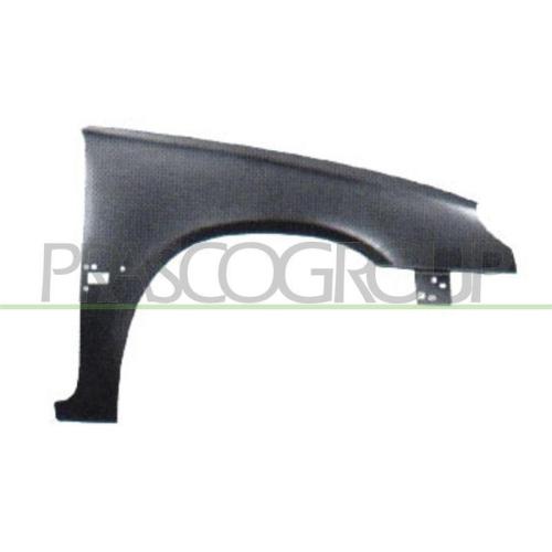Kotfl&uuml;gel Prasco CI0233013 f&uuml;r Citro&euml;n Vorne Rechts