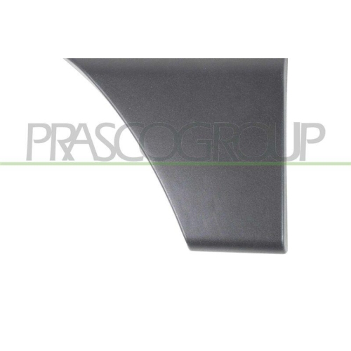Zier /schutzleiste T&uuml;r Prasco OP9541463 f&uuml;r Opel Renault Vorne Rechts