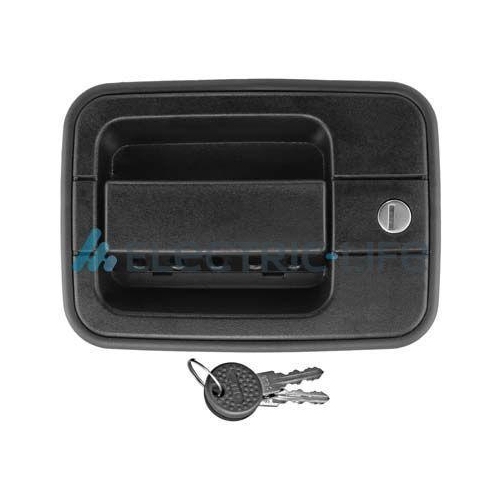 Türaußengriff Electric Life ZR80358 für Iveco Links