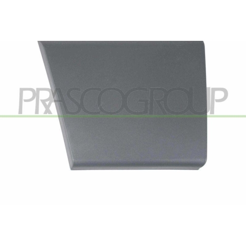 Zier /schutzleiste Tür Prasco FT9301405 für Citroën Fiat Vorne Rechts