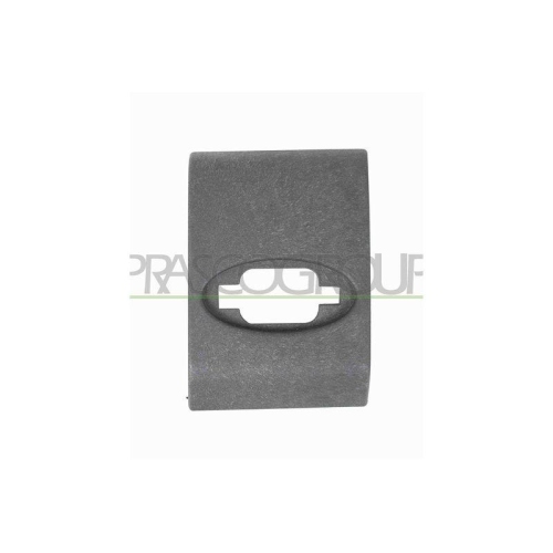 Zier /schutzleiste T&uuml;r Prasco OP9541425 f&uuml;r Opel Renault Hinten Rechts