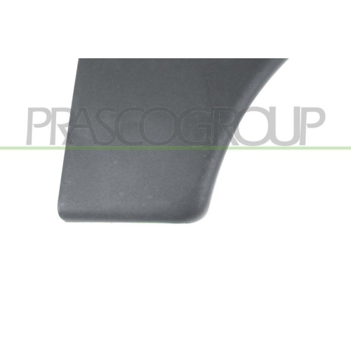 Zier /schutzleiste Kotfl&uuml;gel Prasco CI9151401 f&uuml;r Citro&euml;n Vorne Rechts