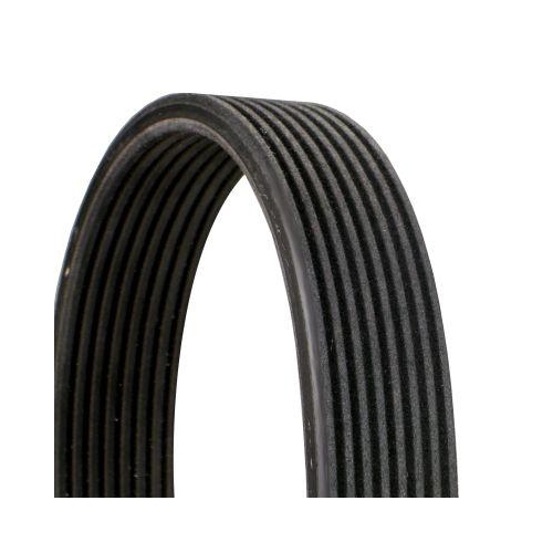 Keilrippenriemen Continental Ctam 8DPK1833 f&uuml;r Bmw