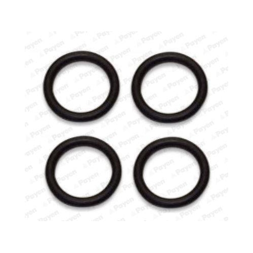 Gasket Set Intake Manifold Payen HA5029 for Ford Mazda Peugeot Toyota