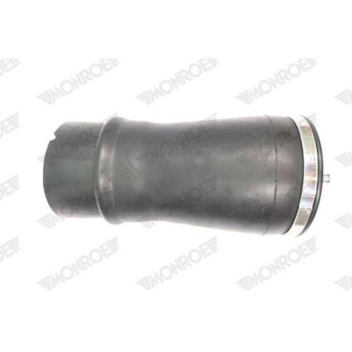 Air Spring Suspension Monroe ASP012 for Bmw
