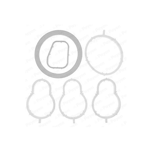 Dichtungssatz Ansaugkr&uuml;mmer Payen HA5034 f&uuml;r Smart