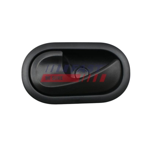 T&uuml;rgriff Innenausstattung Fast FT94406 f&uuml;r Iveco Renault Vorne Links