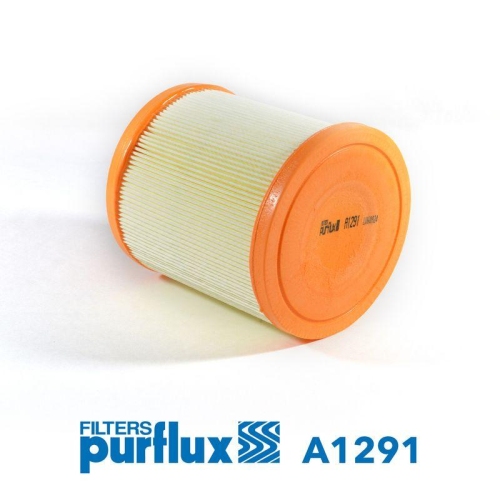 Air Filter Purflux A1291 for Audi Rover/austin Vag Generic