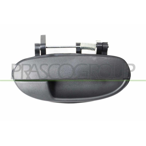 T&uuml;rau&szlig;engriff Prasco DW0208101 f&uuml;r Chevrolet Hinten Rechts