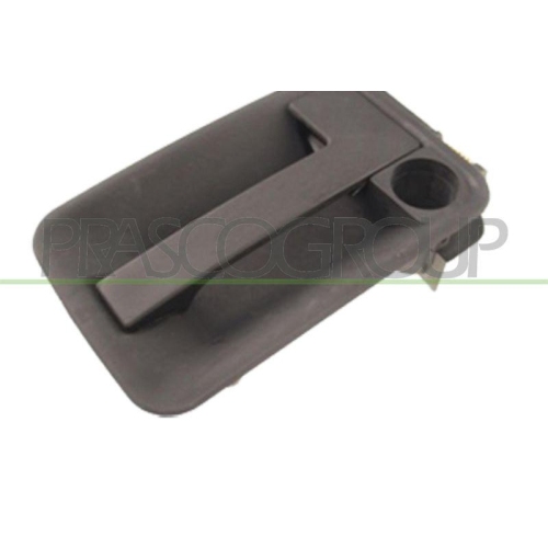 Türaußengriff Prasco FT9218301 für Citroën Fiat Peugeot Fahrzeughecktür Außen
