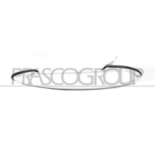 Türaußengriff Prasco MN3048006 für Mini Außen Vorne Links