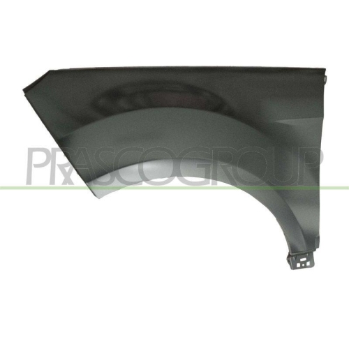 Kotfl&uuml;gel Prasco FD7503004 f&uuml;r Ford Vorne Links