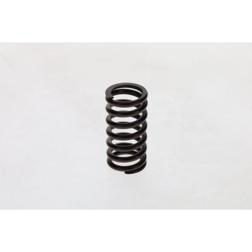 Feder Bosch 2414619011 für Berliet Daf Fiat International Harv. Iveco Lancia Man