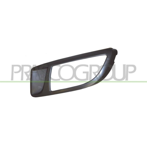 L&uuml;ftungsgitter Sto&szlig;f&auml;nger Prasco FT1382124 Premium f&uuml;r Fiat Vorne Links