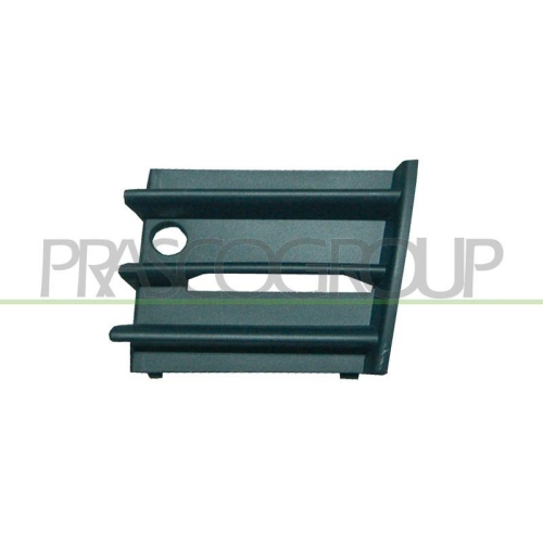 L&uuml;ftungsgitter Sto&szlig;f&auml;nger Prasco SK0242124 Premiumcertified f&uuml;r Skoda