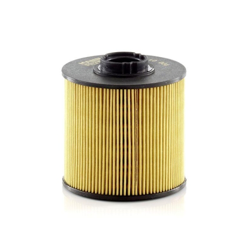Fuel Filter Mann-filter PU 10 004 z for Mitsubishi Nissan