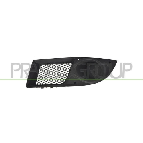 L&uuml;ftungsgitter Sto&szlig;f&auml;nger Prasco FT9092124 f&uuml;r Fiat Vorne Links