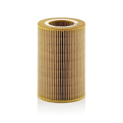 Air Filter Mann-filter C 1041 for Smart