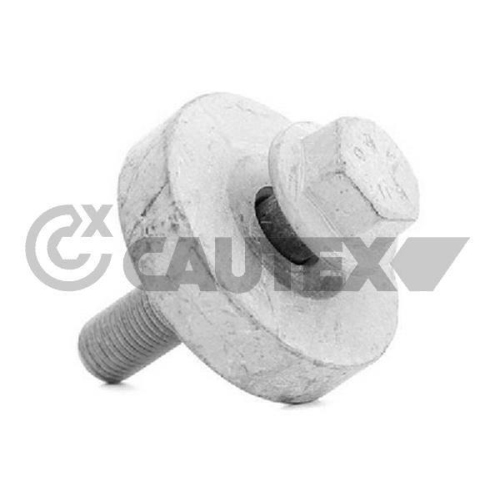 Riemenscheibenschraube Cautex 757050 für Renault