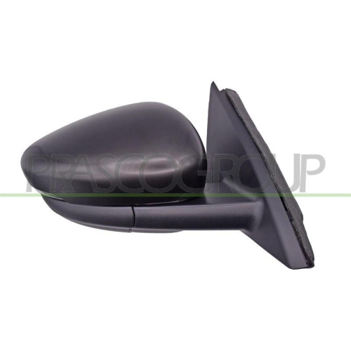 Au&szlig;enspiegel Prasco FD8087313 f&uuml;r Ford Rechts