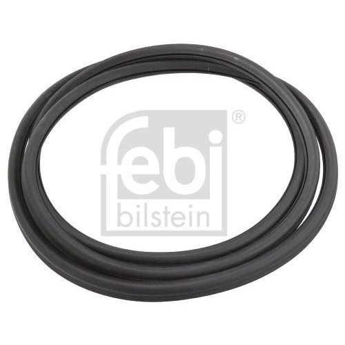 Seal Windscreen Febi Bilstein 02792 for VW