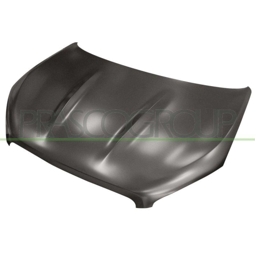 Motorhaube Prasco DS7113100 für Nissan