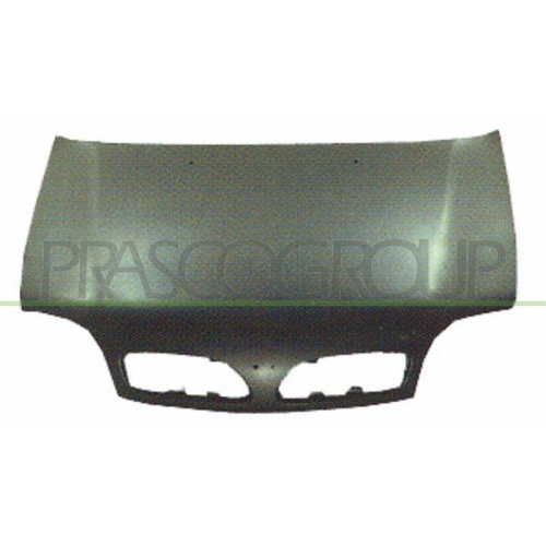 Motorhaube Prasco DS0073100 für Nissan