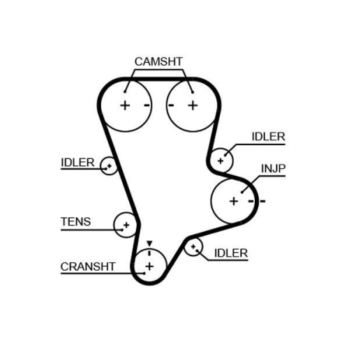 Zahnriemen Gates 5644XS Powergrip&trade; f&uuml;r Kia