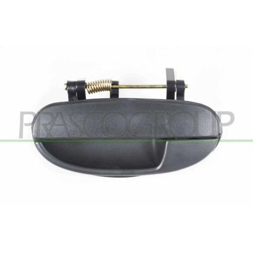 T&uuml;rau&szlig;engriff Prasco DW0208102 f&uuml;r Chevrolet Hinten Links
