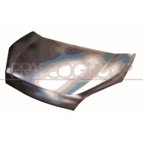 Bonnet Prasco FT9123100 for Fiat