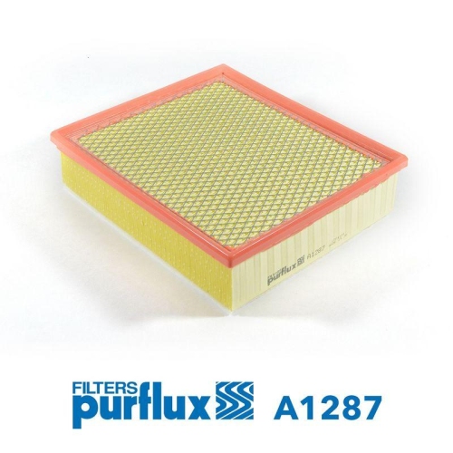 Air Filter Purflux A1287 for Ford Volvo Rover/austin AC Generic