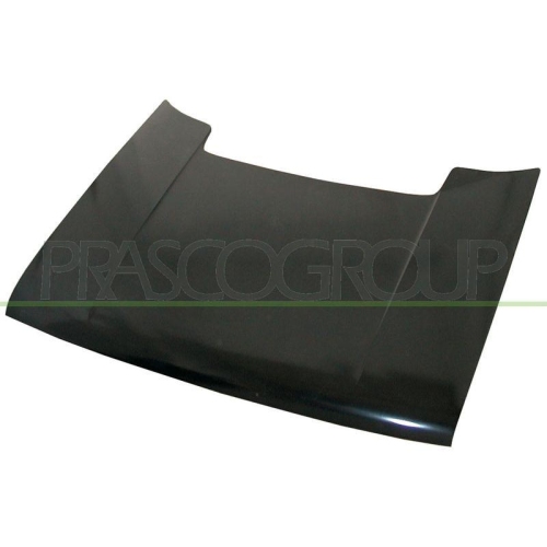Motorhaube Prasco FT1293100 für Fiat