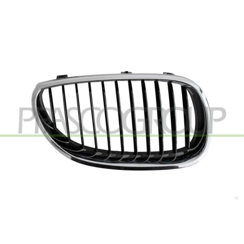K&uuml;hlergitter Prasco BM0462003 Premiumcertified f&uuml;r Bmw Rechts